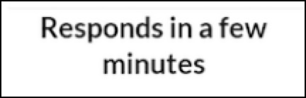 The response time message says 'Responds in a few minutes.'
